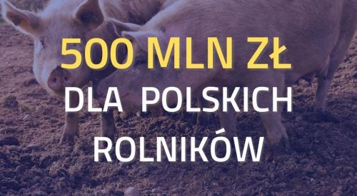 Komisja Europejska zatwierdziła polski program pomocy